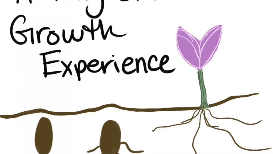 a seed growing into a flower with the wording a tangible growth experience.